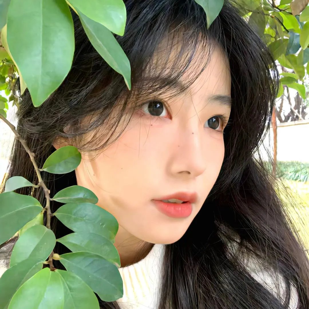 零下的激情